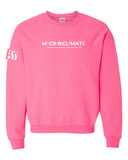 RWDI Microclimate Crewneck Sweatshirt