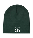 RWDI Beanie Toque