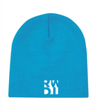 RWDI Beanie Toque