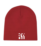 RWDI Beanie Toque