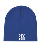 RWDI Beanie Toque